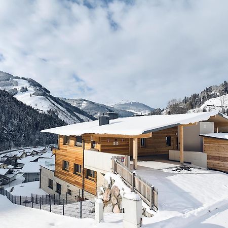 Alpenparks Chalet & Apartment Steve Lodge Viehhofen Ngoại thất bức ảnh