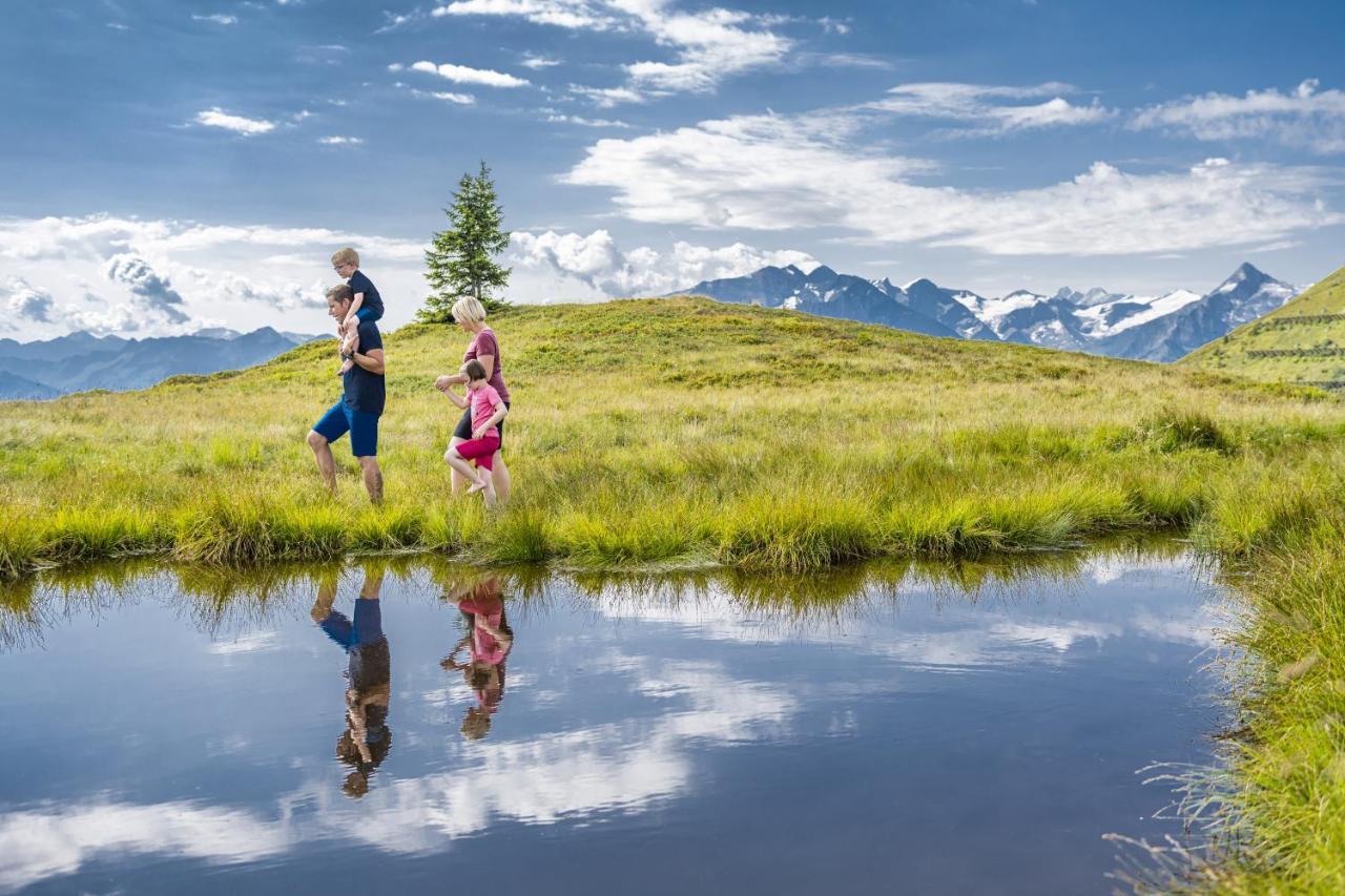 Alpenparks Chalet & Apartment Steve Lodge Viehhofen Ngoại thất bức ảnh